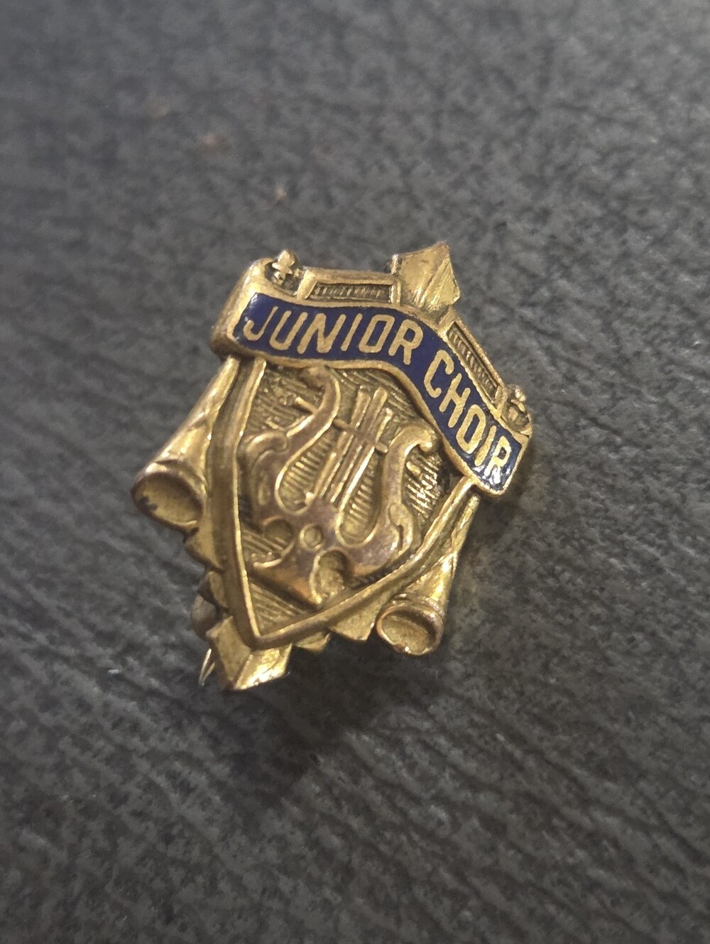 VTG Junior Choir School Music Award Student Blue Gold Tone Enamel Pin Harp Horns